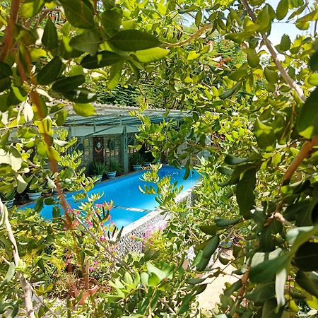 Silk Island Homestay Phnom Penh Dış mekan fotoğraf