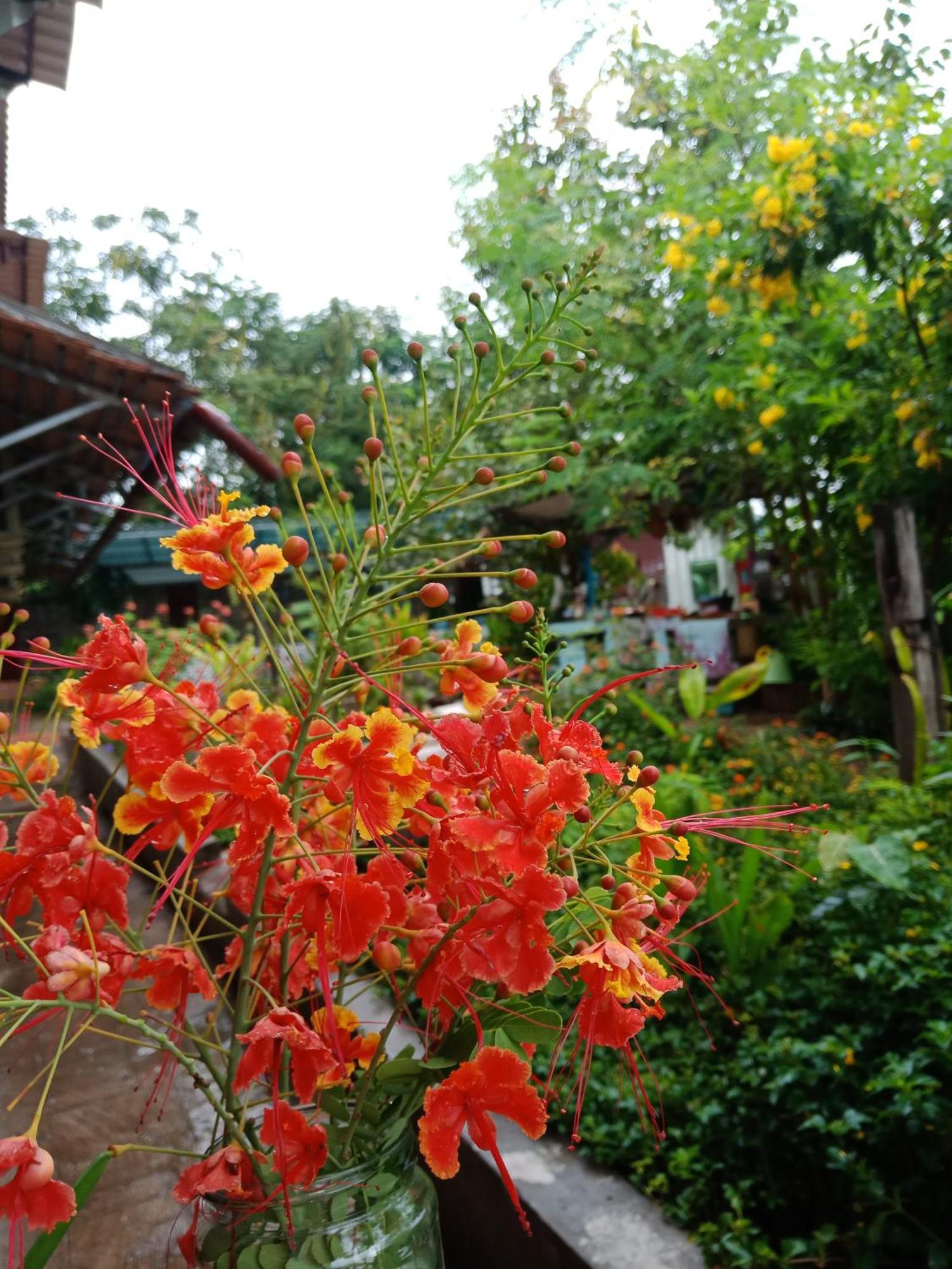 Silk Island Homestay Phnom Penh Dış mekan fotoğraf