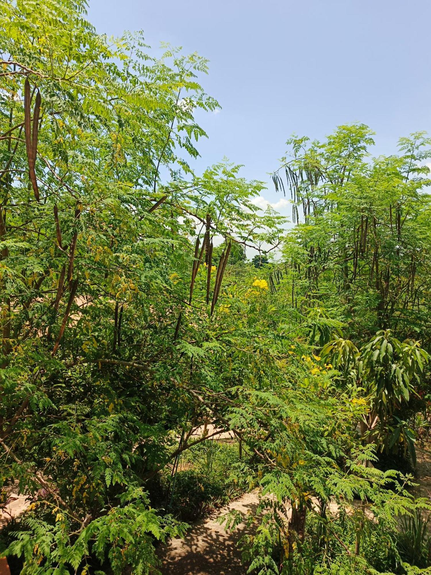 Silk Island Homestay Phnom Penh Dış mekan fotoğraf